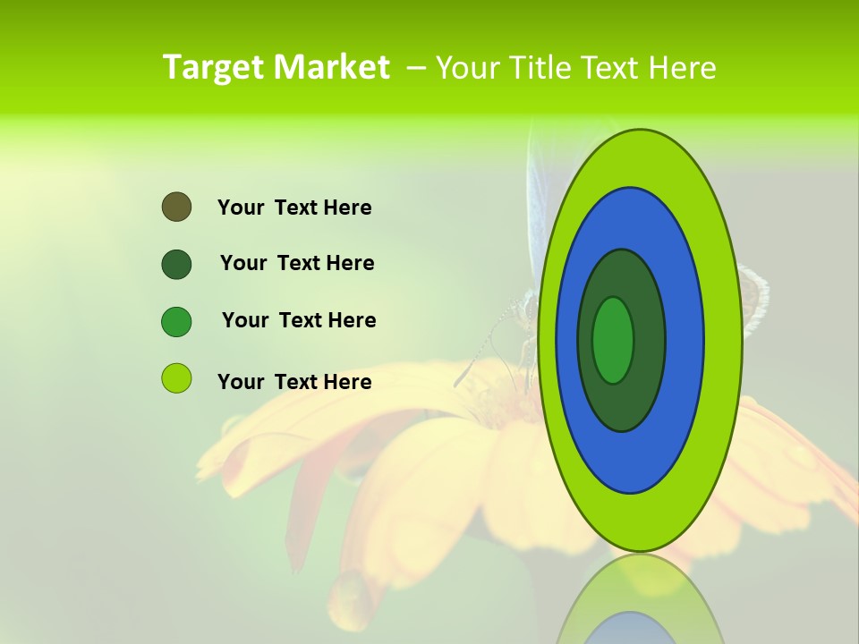 Background Wing Wildlife PowerPoint Template