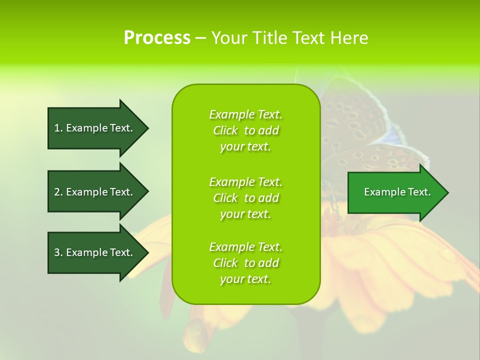 Background Wing Wildlife PowerPoint Template