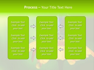 Background Wing Wildlife PowerPoint Template
