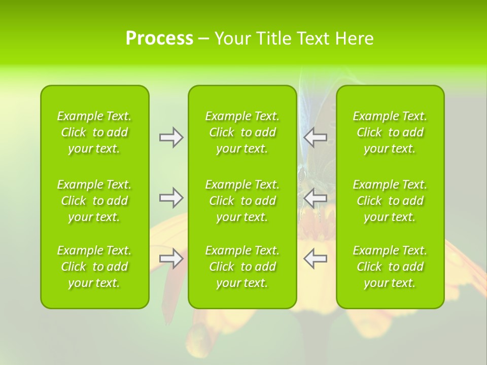 Background Wing Wildlife PowerPoint Template