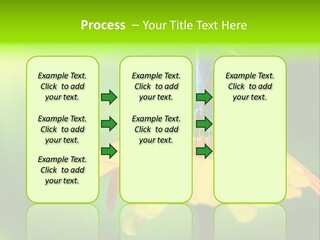 Background Wing Wildlife PowerPoint Template