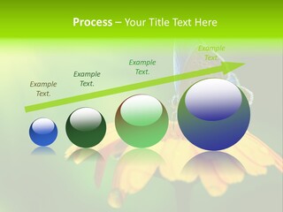 Background Wing Wildlife PowerPoint Template