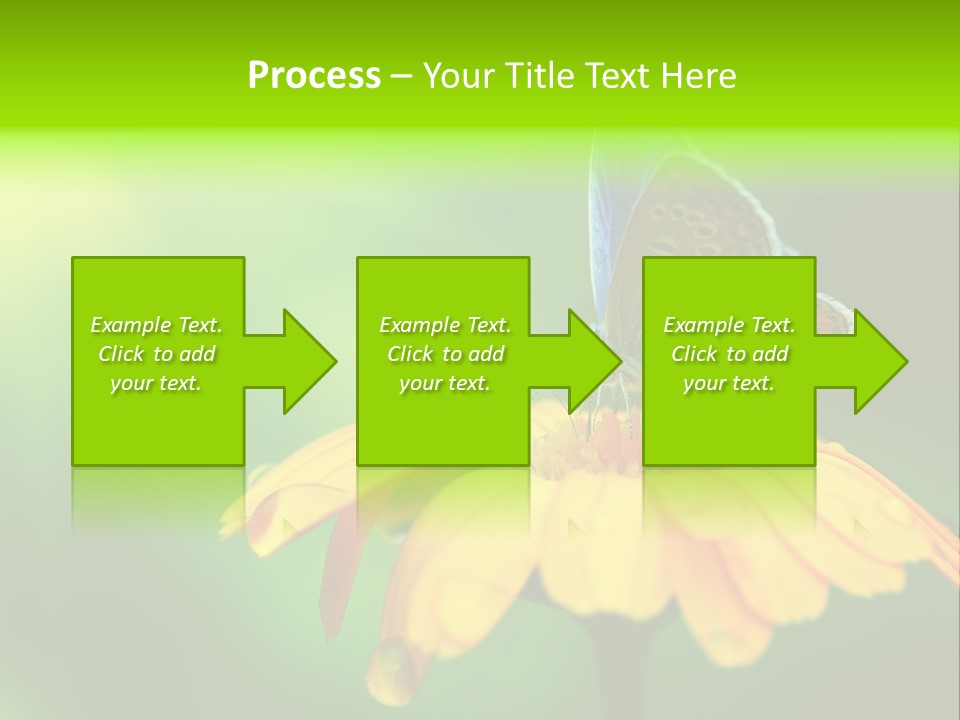Background Wing Wildlife PowerPoint Template