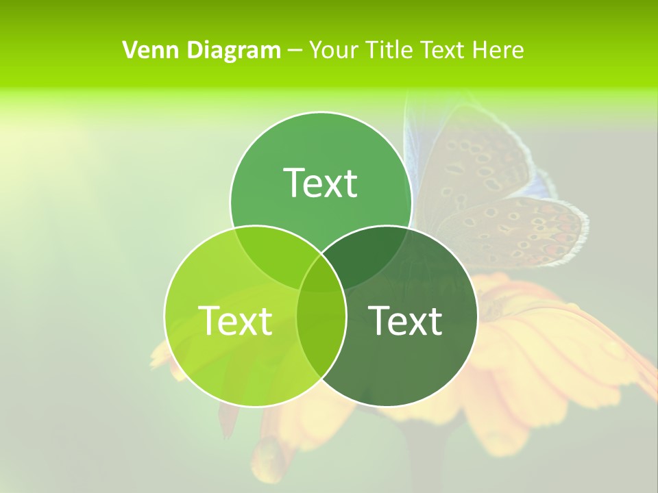 Background Wing Wildlife PowerPoint Template