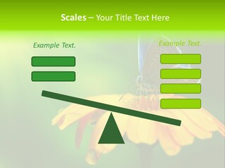 Background Wing Wildlife PowerPoint Template