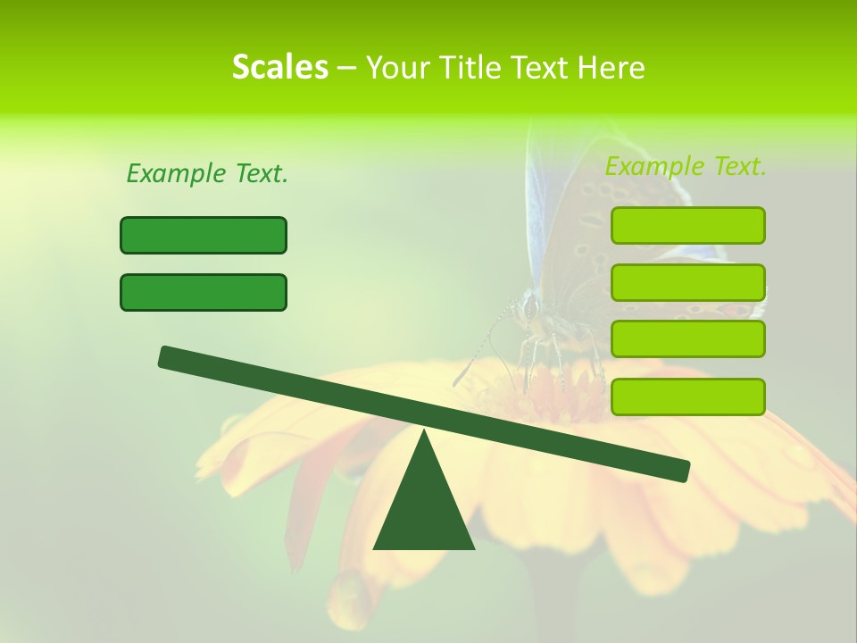 Background Wing Wildlife PowerPoint Template