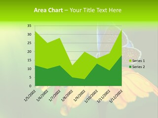 Background Wing Wildlife PowerPoint Template