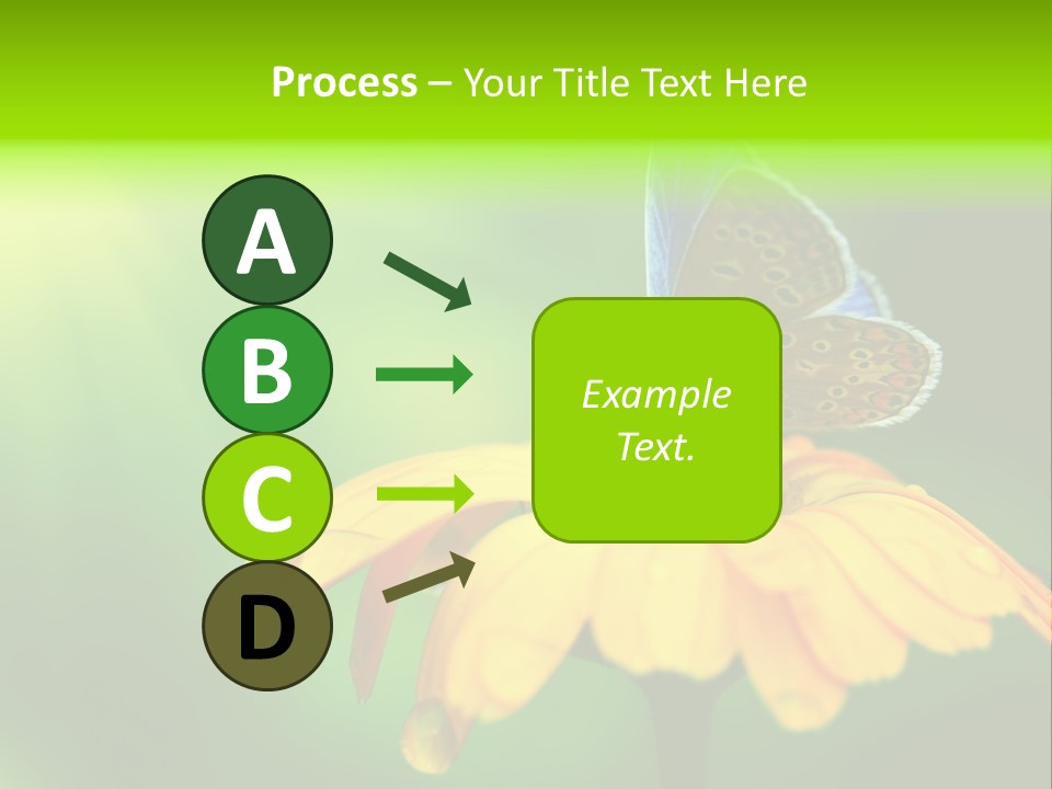 Background Wing Wildlife PowerPoint Template