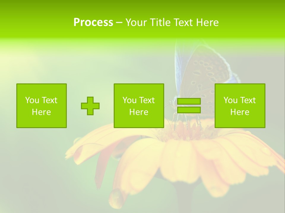 Background Wing Wildlife PowerPoint Template