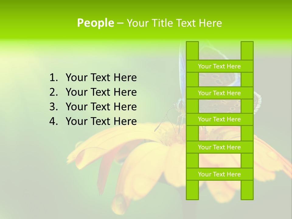 Background Wing Wildlife PowerPoint Template