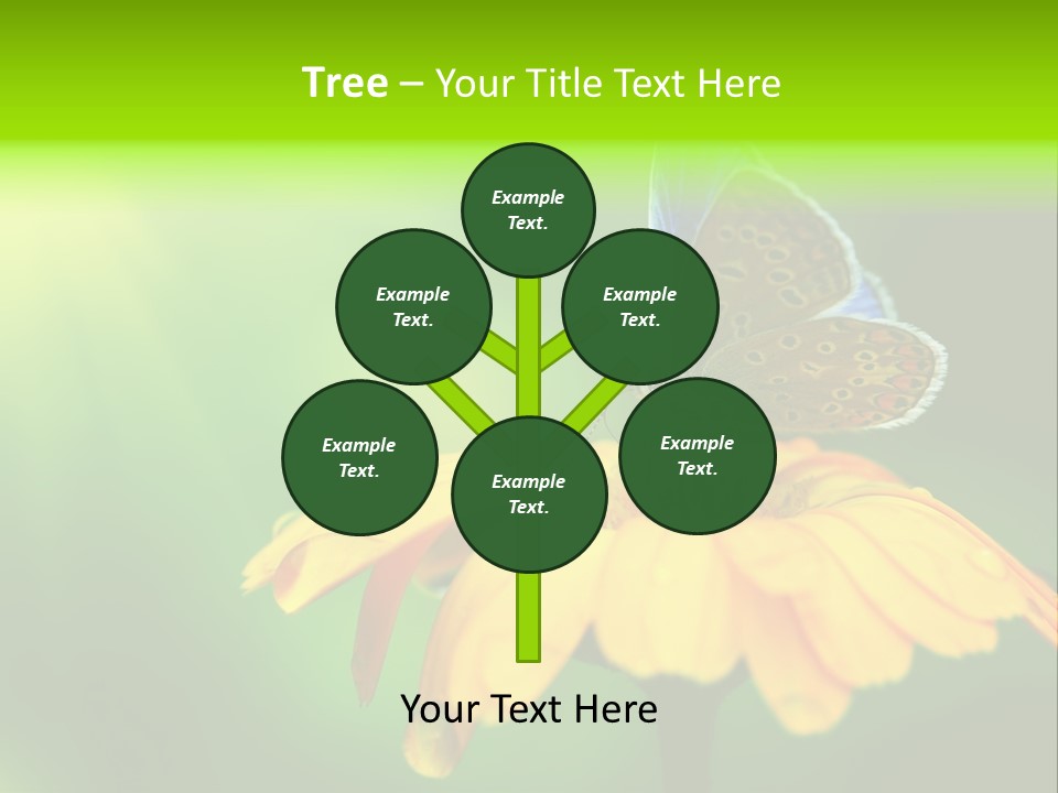 Background Wing Wildlife PowerPoint Template