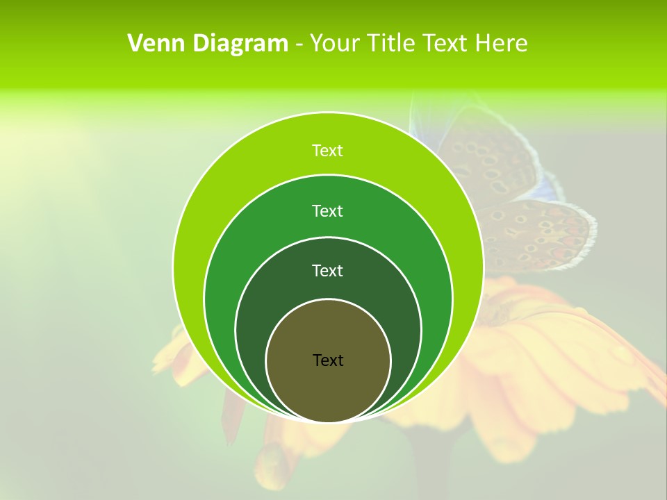 Background Wing Wildlife PowerPoint Template