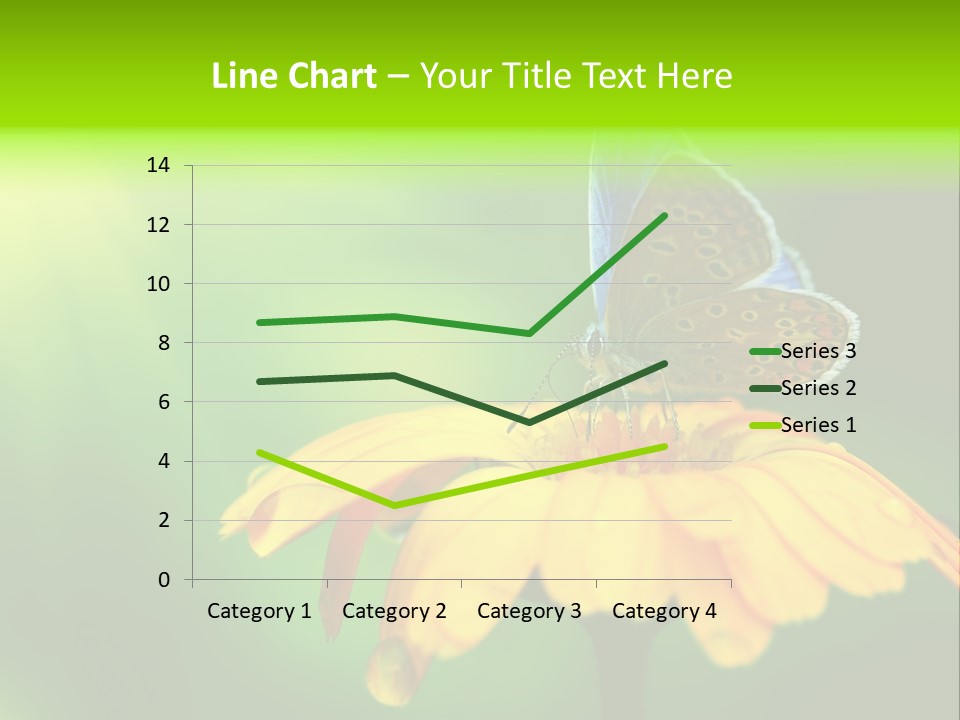 Background Wing Wildlife PowerPoint Template