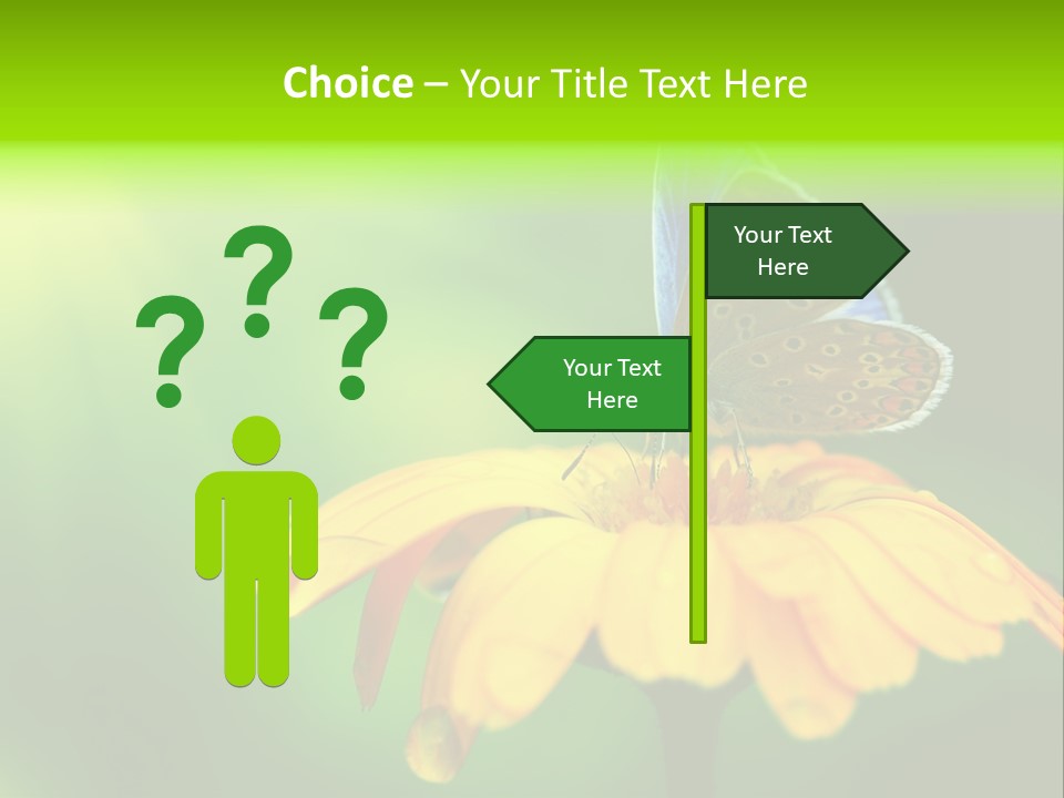 Background Wing Wildlife PowerPoint Template