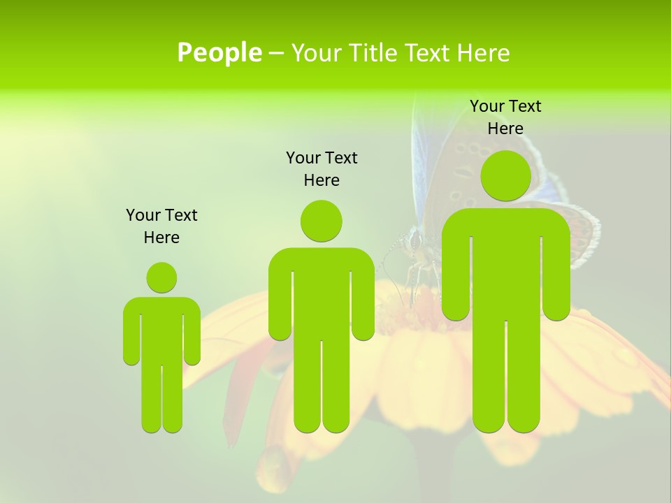 Background Wing Wildlife PowerPoint Template