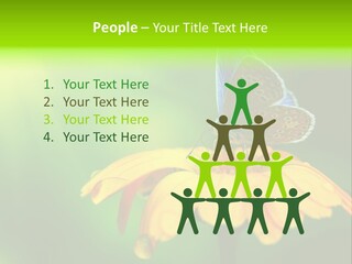 Background Wing Wildlife PowerPoint Template