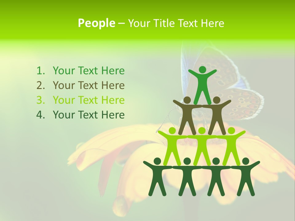 Background Wing Wildlife PowerPoint Template