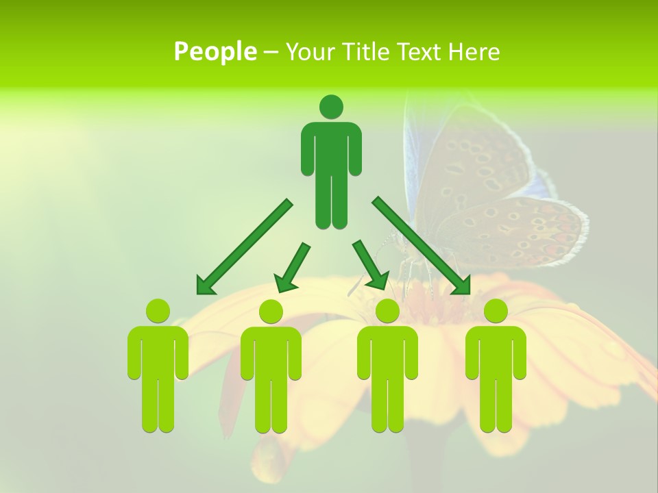 Background Wing Wildlife PowerPoint Template