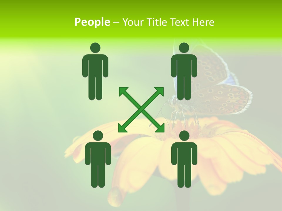 Background Wing Wildlife PowerPoint Template