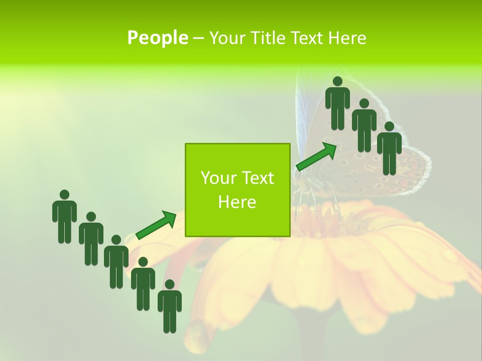 Background Wing Wildlife PowerPoint Template