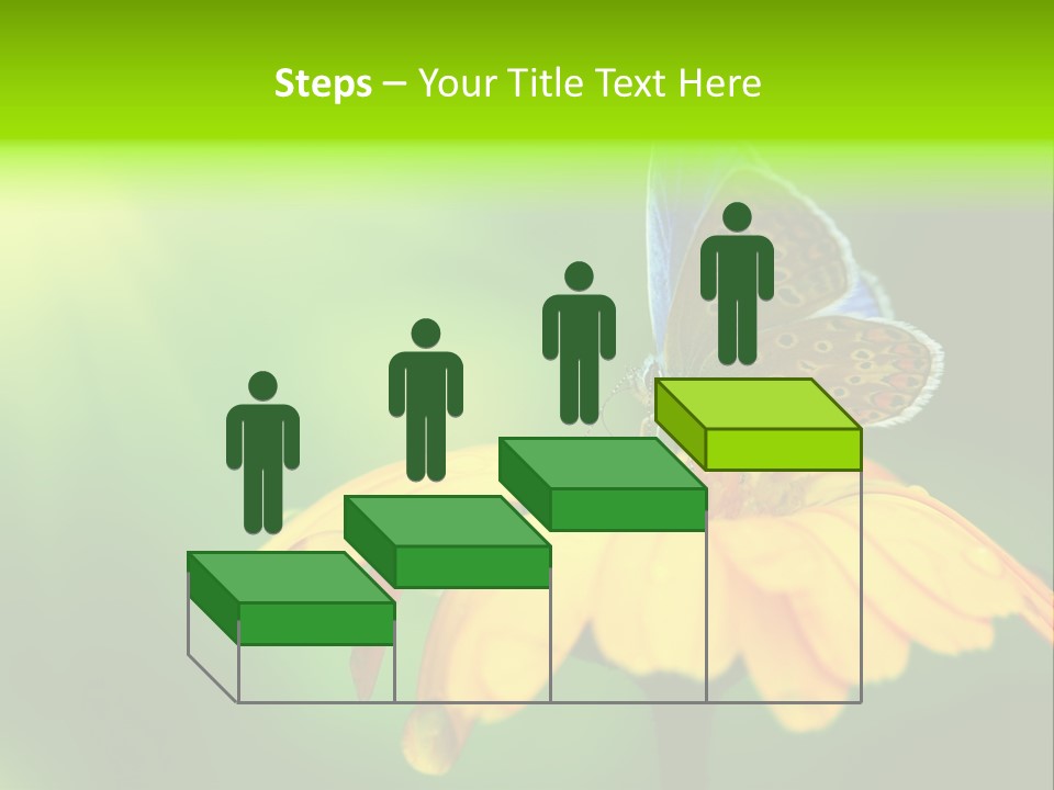 Background Wing Wildlife PowerPoint Template