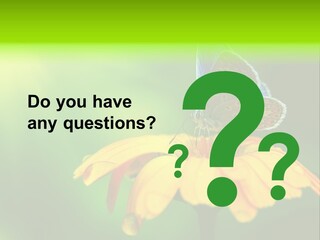 Background Wing Wildlife PowerPoint Template