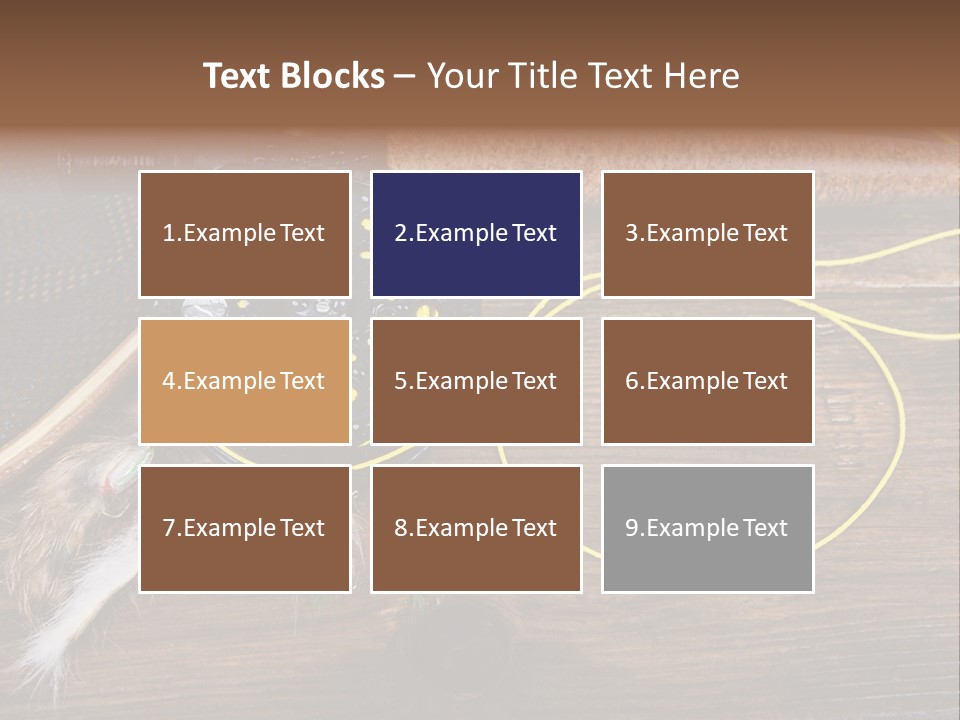 Hook Fly Fishing Cast PowerPoint Template