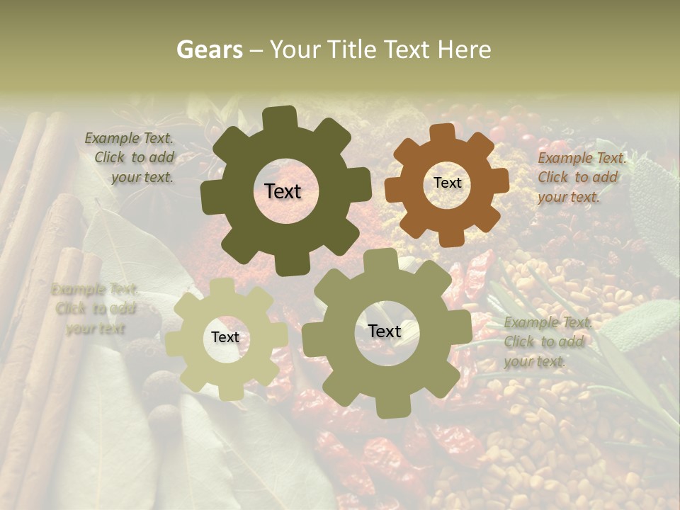 Colour Kitchen Diversity PowerPoint Template