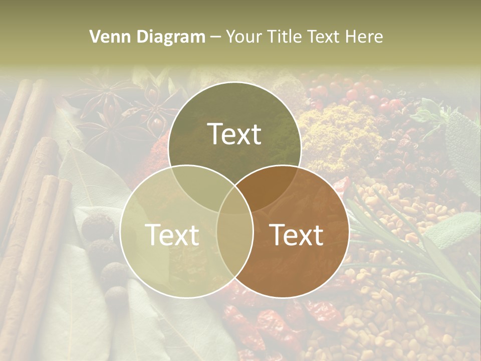 Colour Kitchen Diversity PowerPoint Template