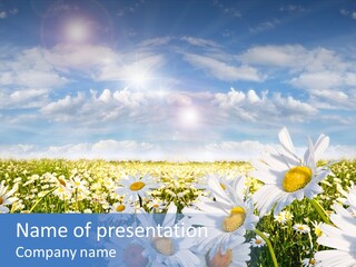 Nature Pretty E Commerce PowerPoint Template