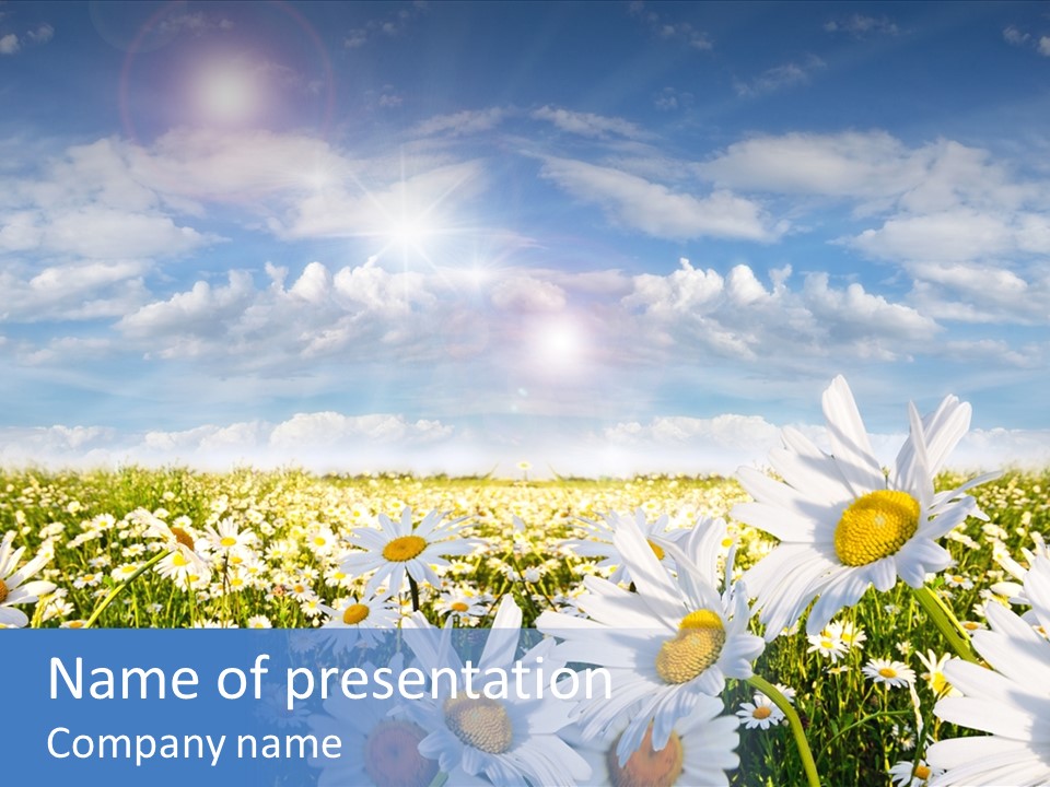 Nature Pretty E Commerce PowerPoint Template