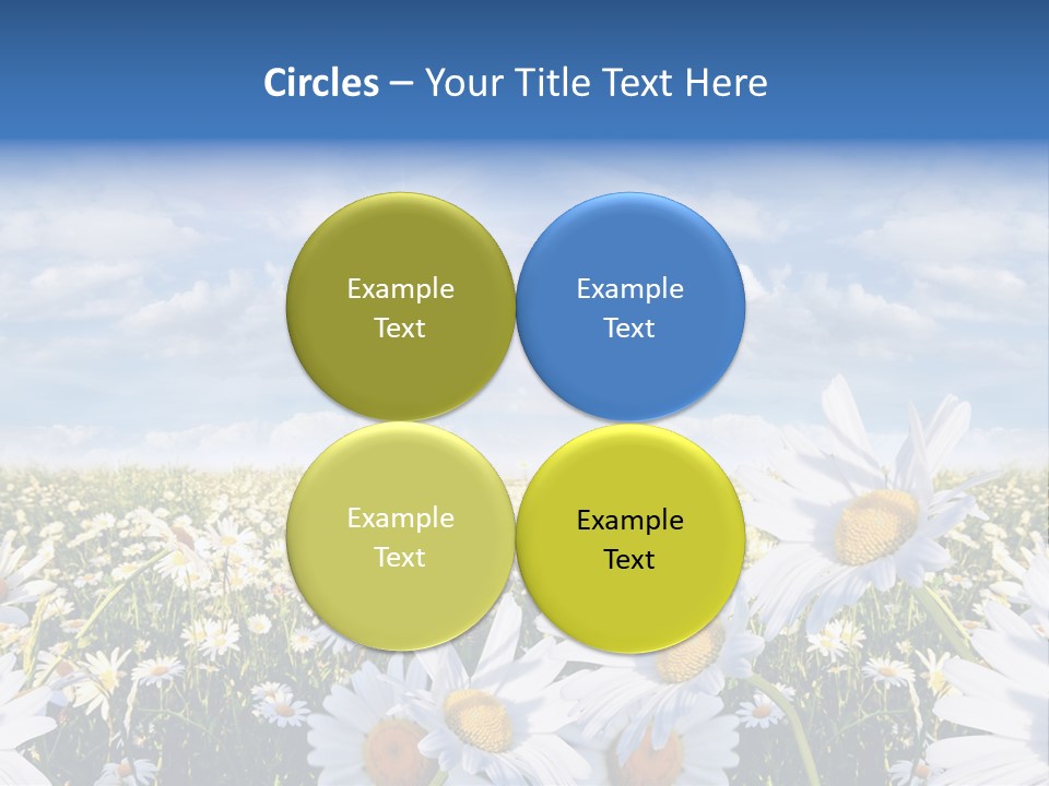 Nature Pretty E Commerce PowerPoint Template