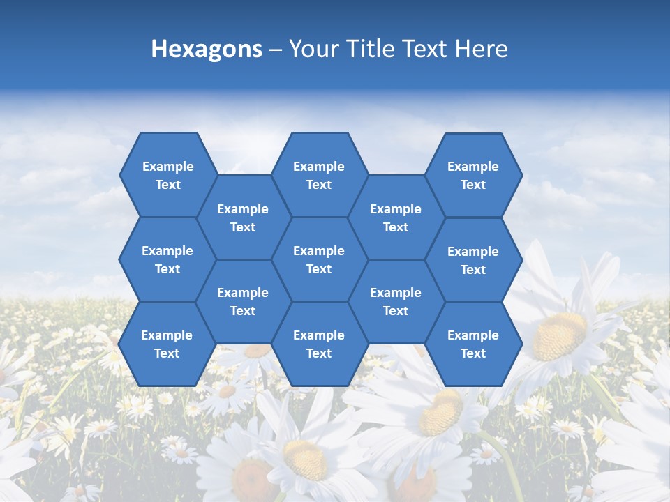 Nature Pretty E Commerce PowerPoint Template