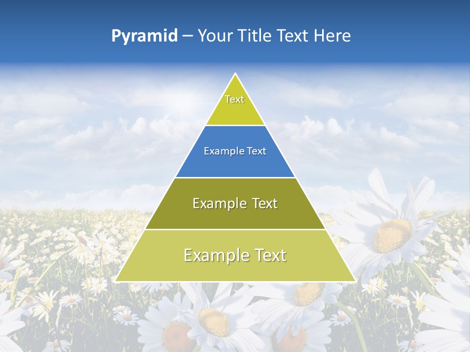 Nature Pretty E Commerce PowerPoint Template