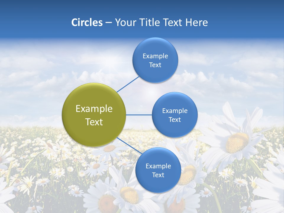 Nature Pretty E Commerce PowerPoint Template