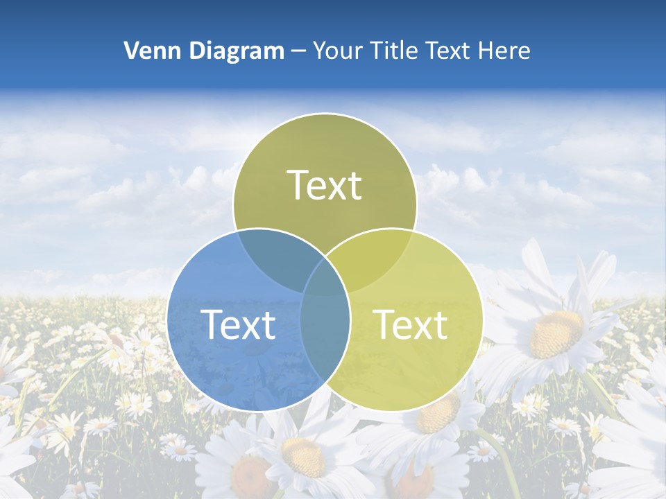 Nature Pretty E Commerce PowerPoint Template