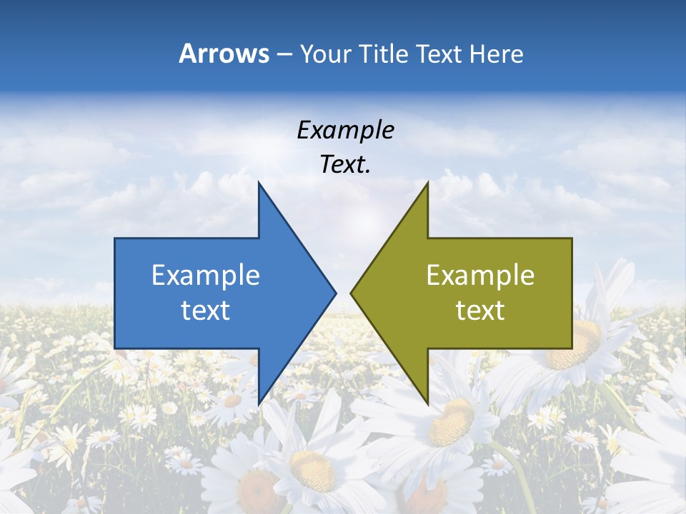 Nature Pretty E Commerce PowerPoint Template