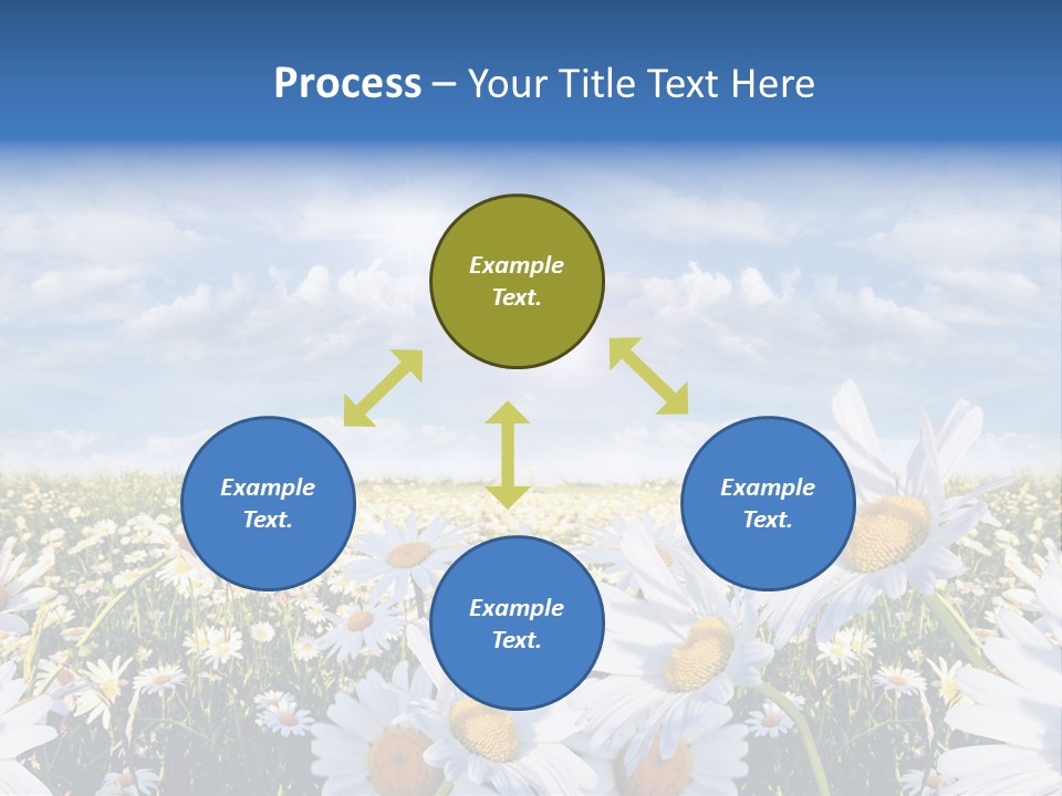 Nature Pretty E Commerce PowerPoint Template