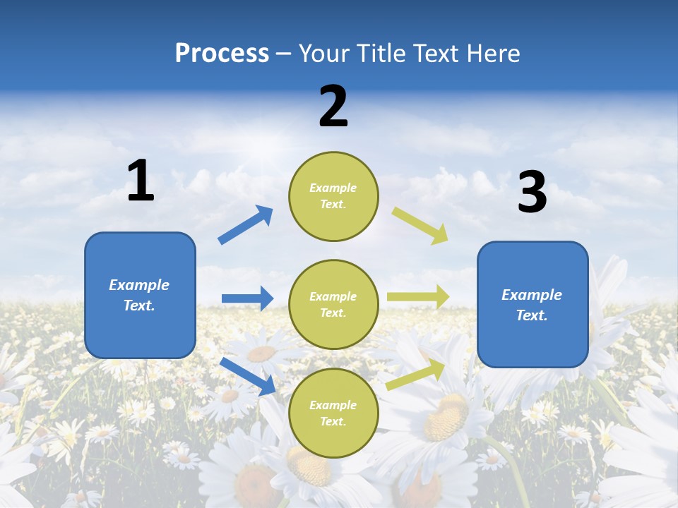 Nature Pretty E Commerce PowerPoint Template