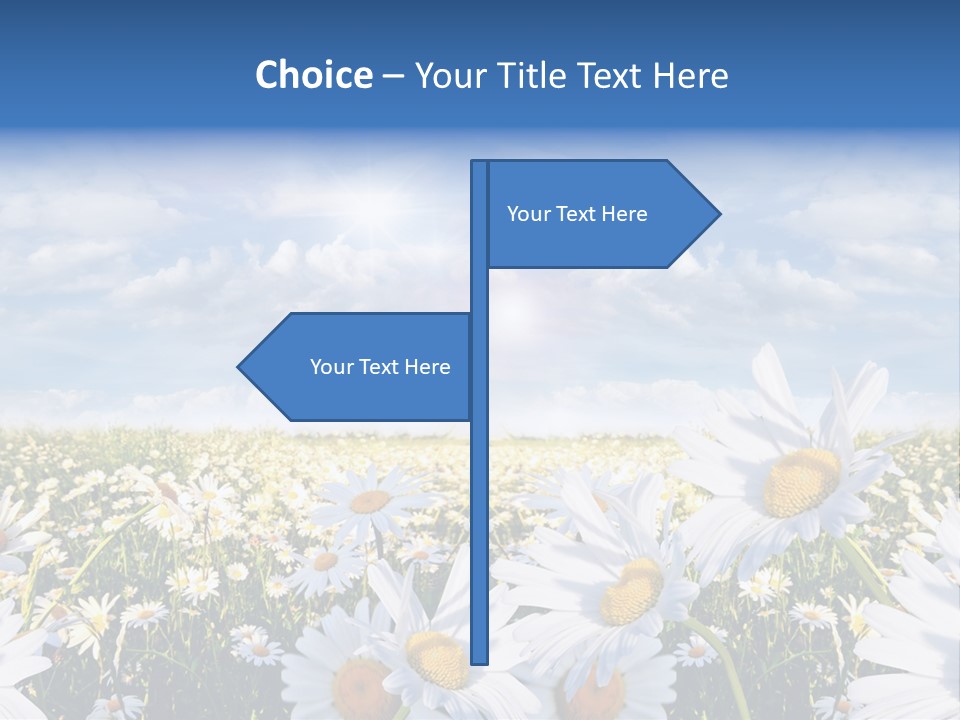 Nature Pretty E Commerce PowerPoint Template