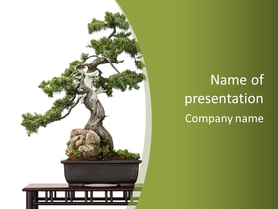 Background Plant Overlay PowerPoint Template