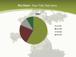 Background Plant Overlay PowerPoint Template