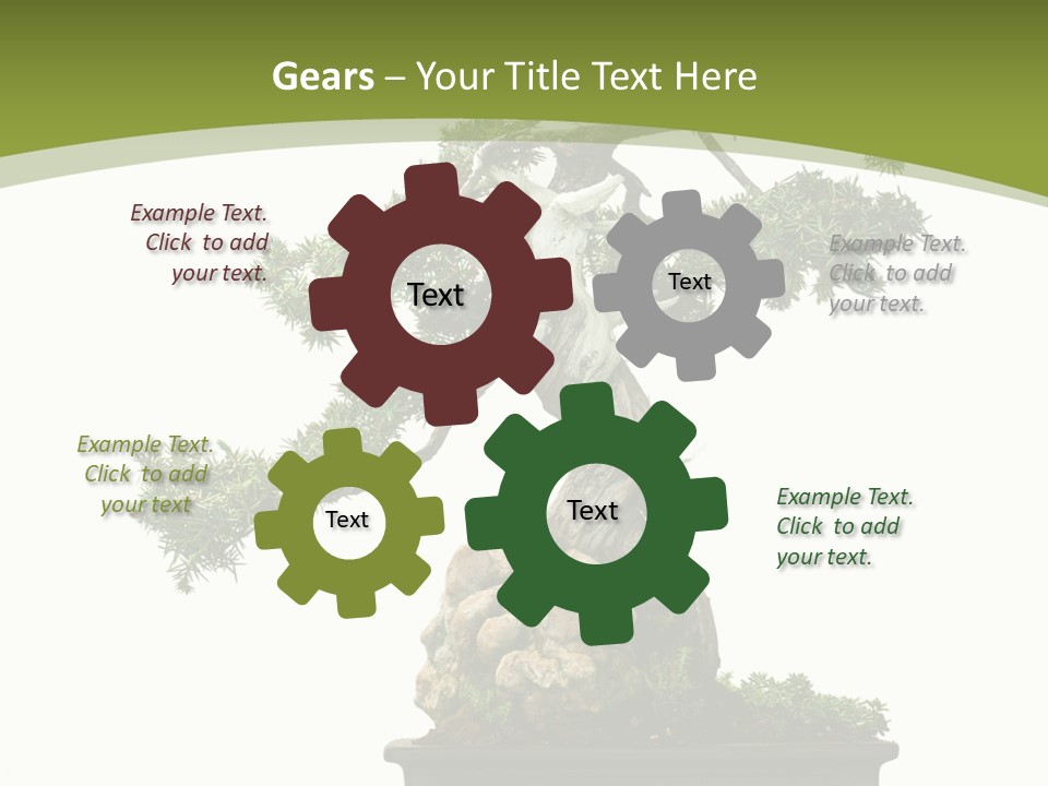Background Plant Overlay PowerPoint Template