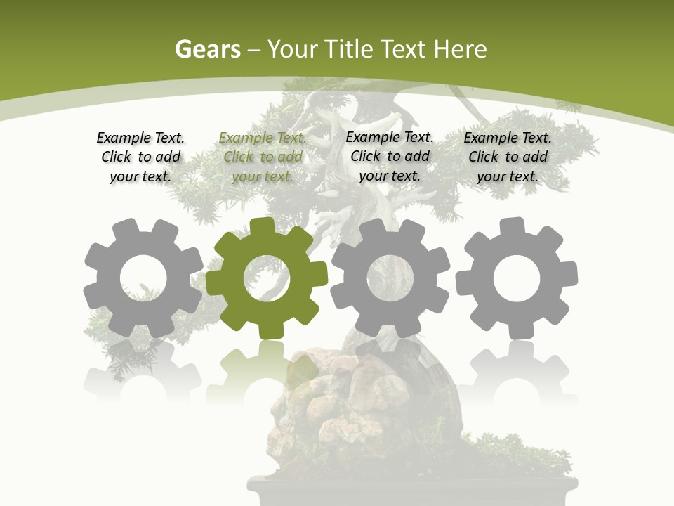 Background Plant Overlay PowerPoint Template