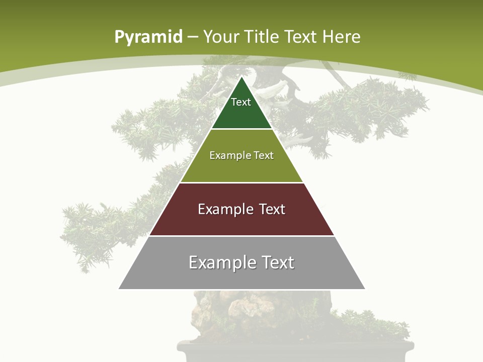 Background Plant Overlay PowerPoint Template