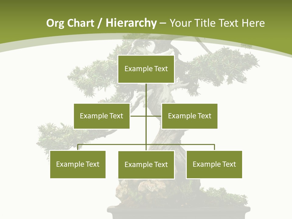 Background Plant Overlay PowerPoint Template