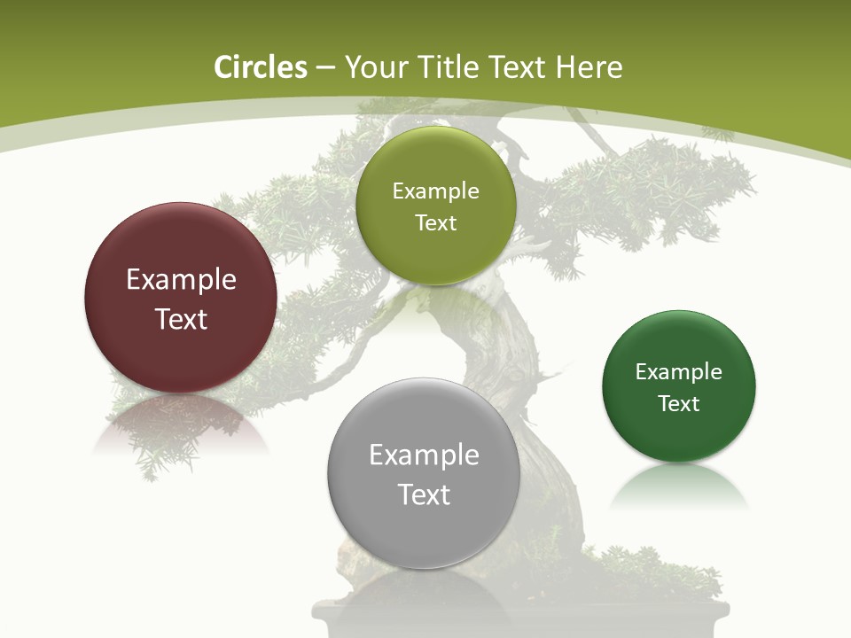 Background Plant Overlay PowerPoint Template