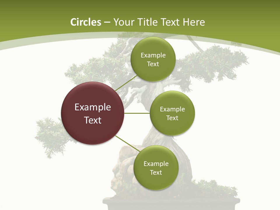 Background Plant Overlay PowerPoint Template