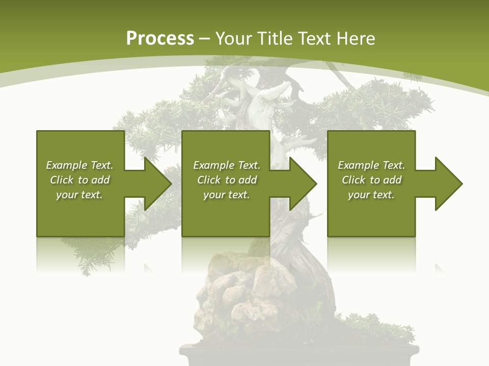 Background Plant Overlay PowerPoint Template