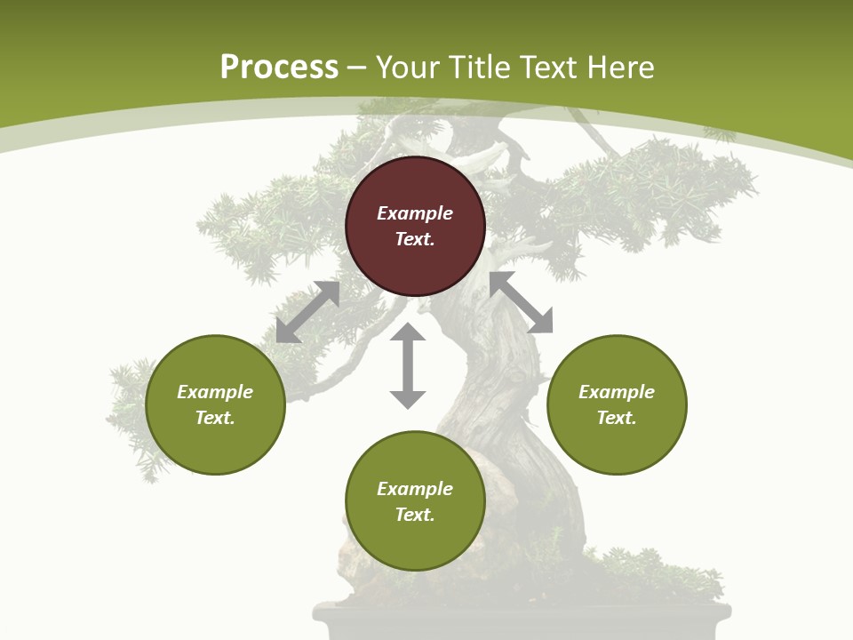 Background Plant Overlay PowerPoint Template